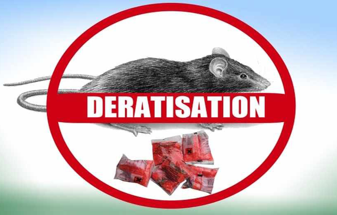 Se débarrasser des souris - Société de dératisation, anti souris Bruxelles